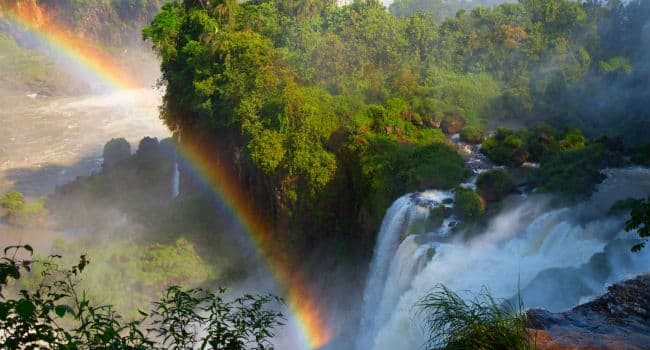 vandfald, rengbue, skov 